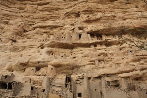 dogon