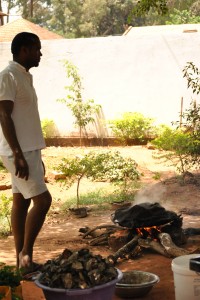 ostras bissau